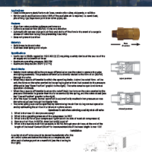 Safety Check Valves
