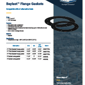Baylast Flange Gasket