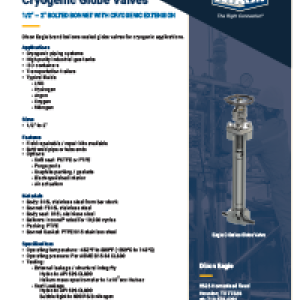 Cryogenic Globe Valves